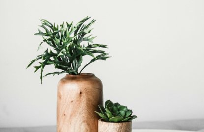 Reading Your Plant's Language